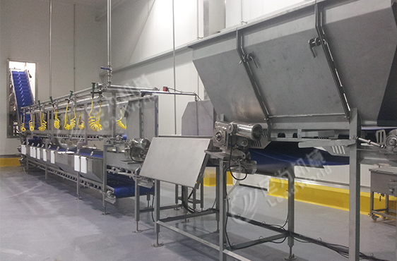 尼為機械鮮切果蔬生產線